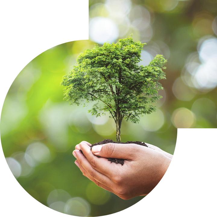 关怀人类、文化、环境与社会